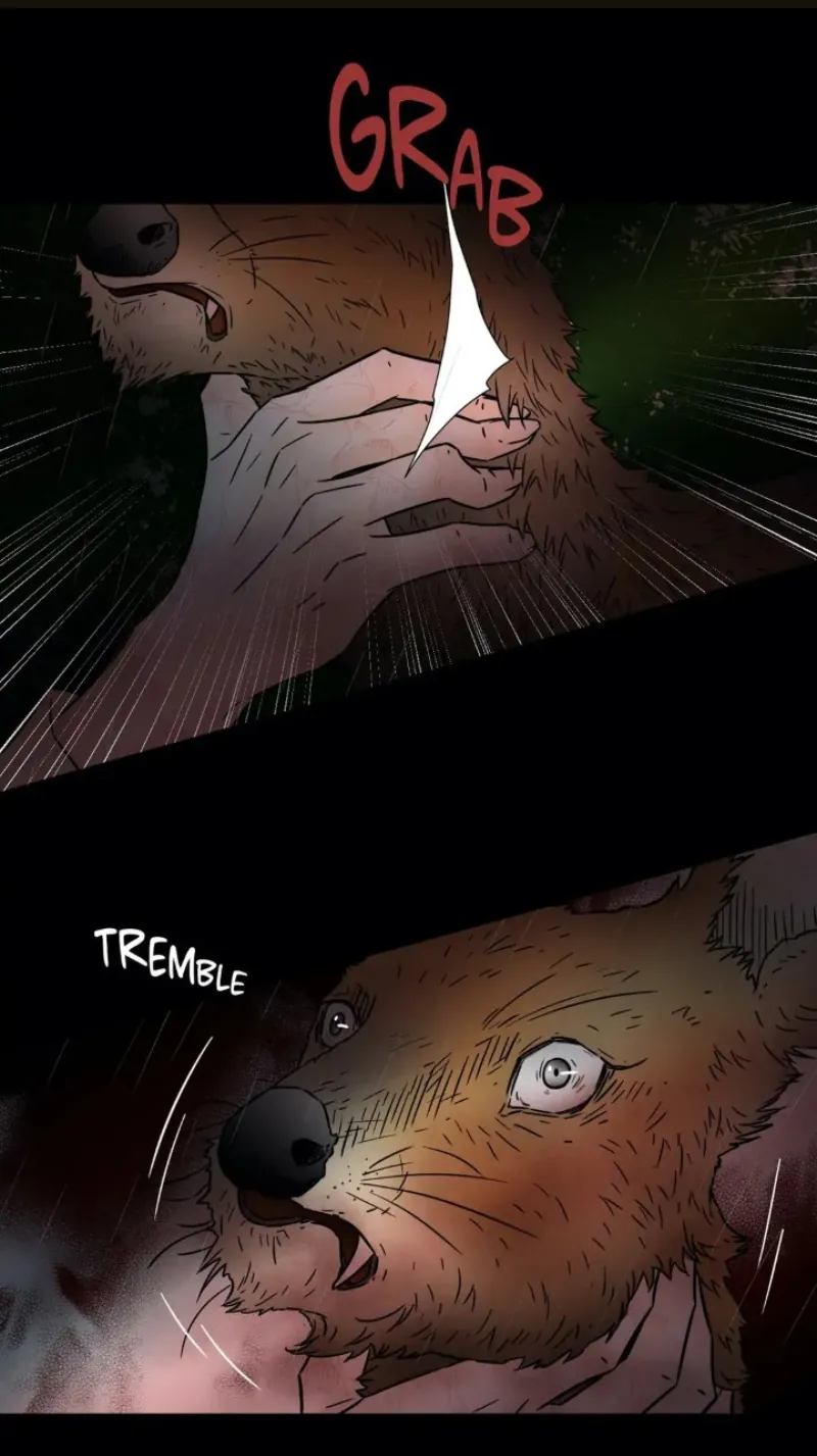 Chae-yi y su harem Capítulo 75 - Página 16