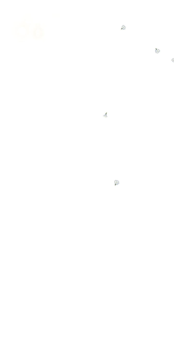 Él no es solo una cara bonita Capítulo 11 - Página 24