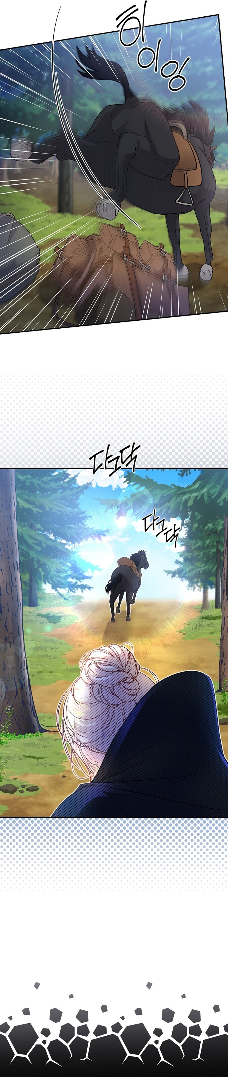 El Gran Duque del Norte Capítulo 47 - Página 29