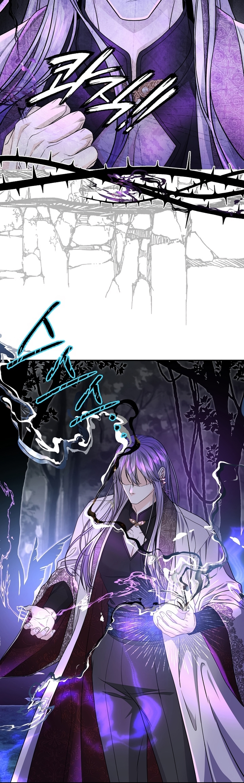 El Gran Duque del Norte Capítulo 54 - Página 29