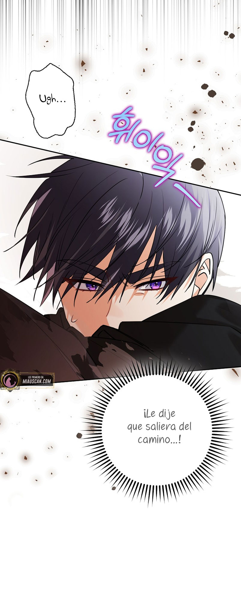 Razones para proteger al hijo de la bruja Capítulo 24 - Página 9