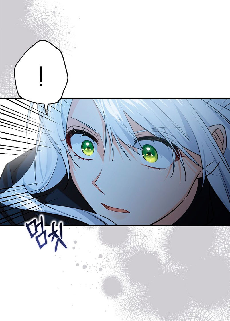 Razones para proteger al hijo de la bruja Capítulo 25 - Página 11