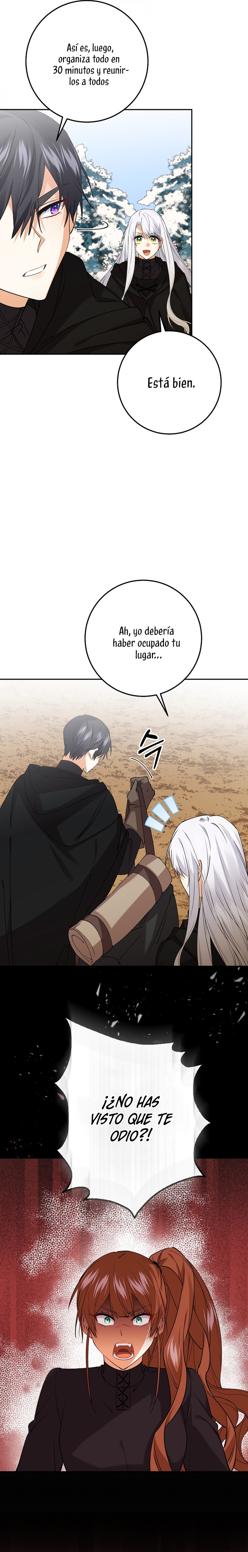 Razones para proteger al hijo de la bruja Capítulo 26 - Página 17