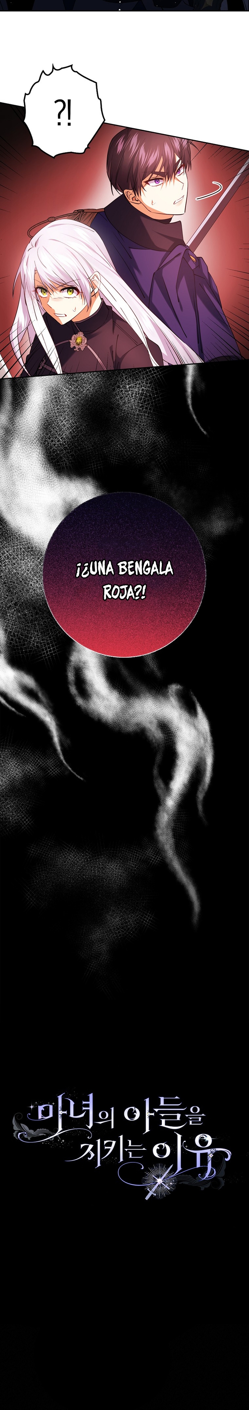 Razones para proteger al hijo de la bruja Capítulo 27 - Página 29