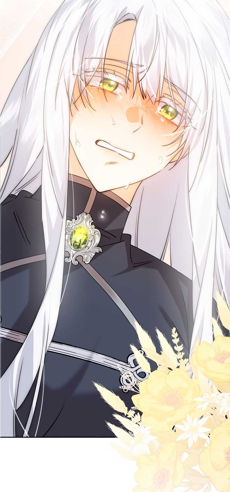 Razones para proteger al hijo de la bruja Capítulo 32 - Página 67