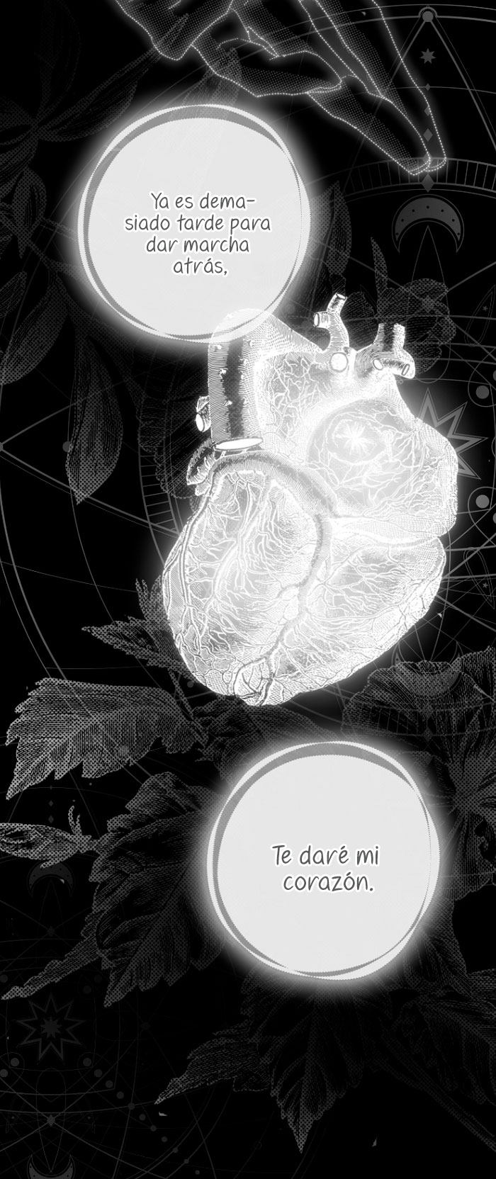 Razones para proteger al hijo de la bruja Capítulo 6 - Página 41