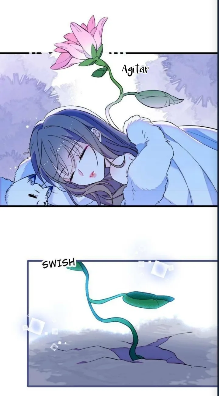 El lindo mundo de las bestias Capítulo 308 - Página 15