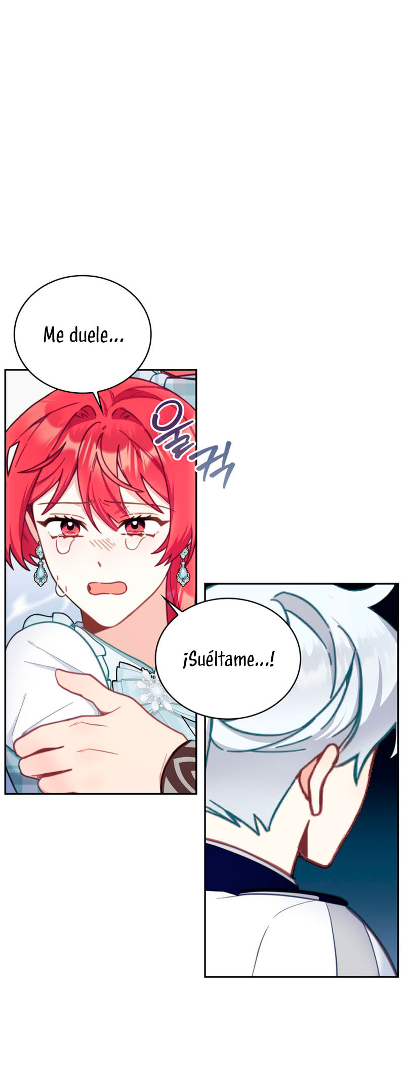 El oso de peluche del Duque Capítulo 60 - Página 13