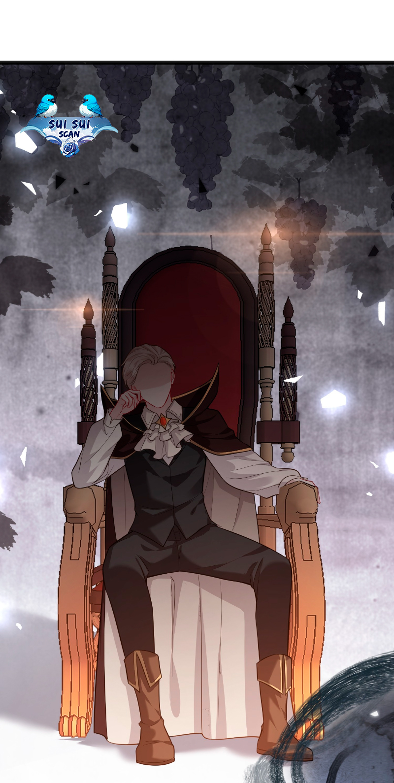 La princesa viuda lleva a su hijo al trono. Capítulo 10 - Página 29