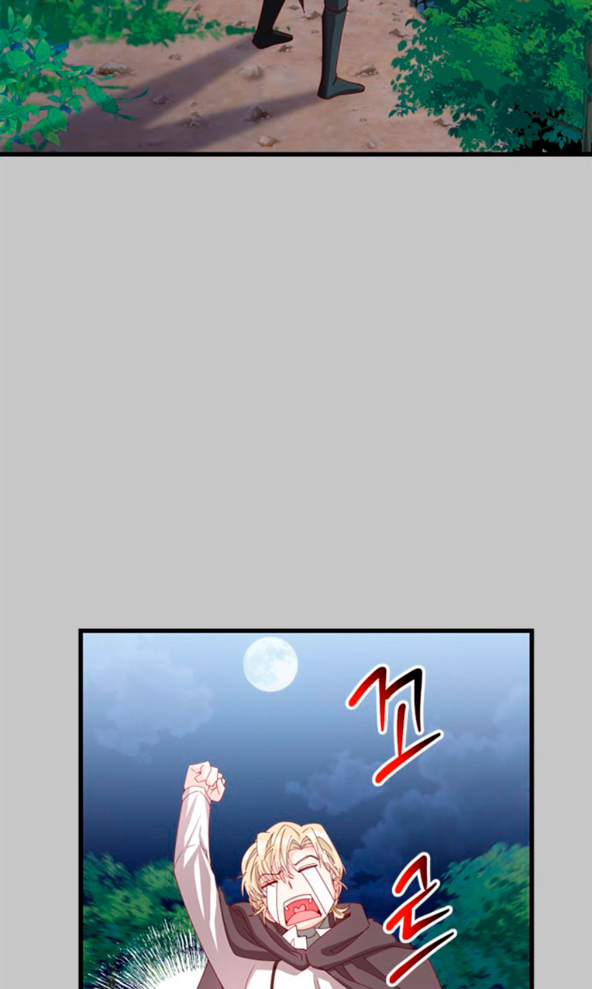 La doble vida de la Condesa Capítulo 11 - Página 39