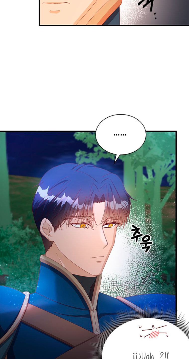 La doble vida de la Condesa Capítulo 13 - Página 46