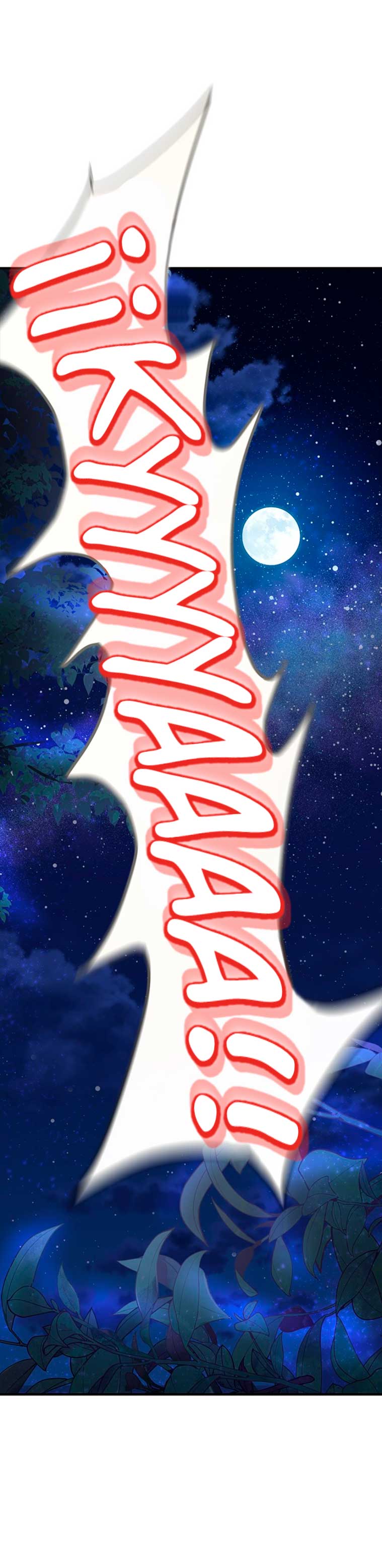 La doble vida de la Condesa Capítulo 14 - Página 70