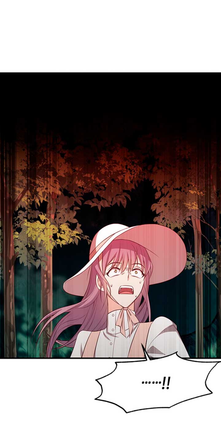 La doble vida de la Condesa Capítulo 19 - Página 97