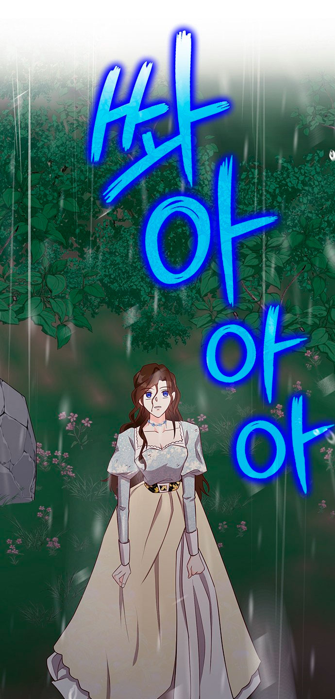 La doble vida de la Condesa Capítulo 20 - Página 28