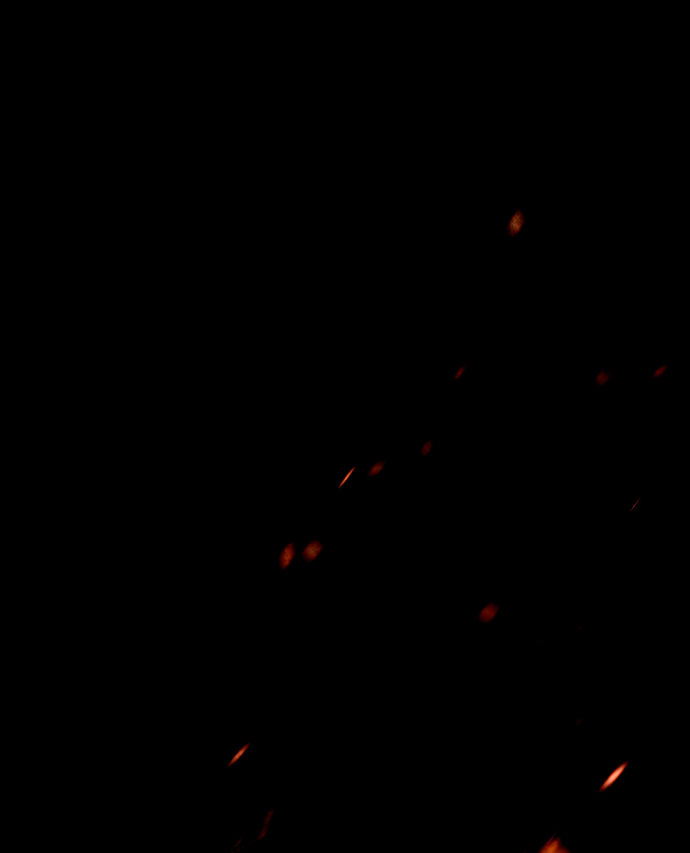 Desobedece al duque si te atreves Capítulo 0 - Página 60