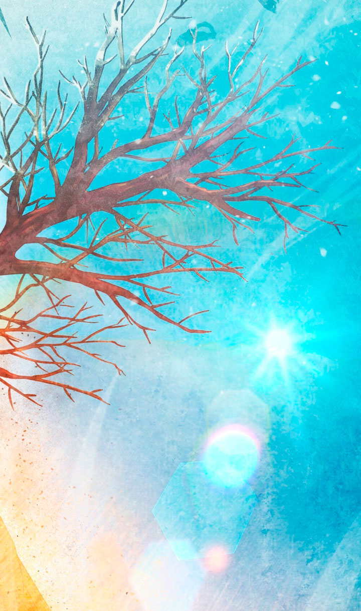 Desobedece al duque si te atreves Capítulo 24 - Página 26