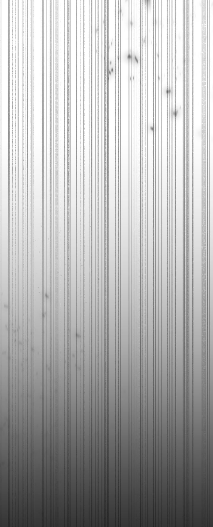 Isnelda Capítulo 55 - Página 28