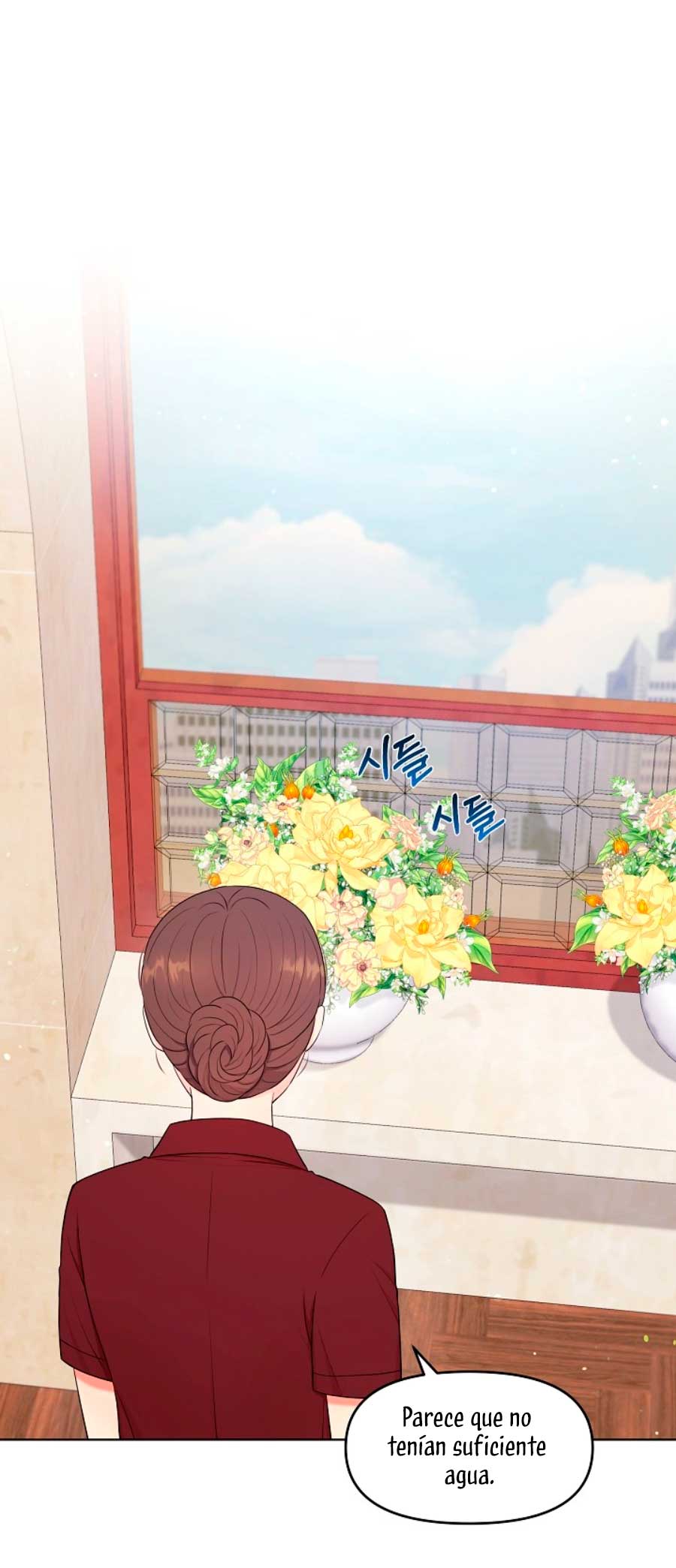 Esposo Capítulo 29 - Página 17