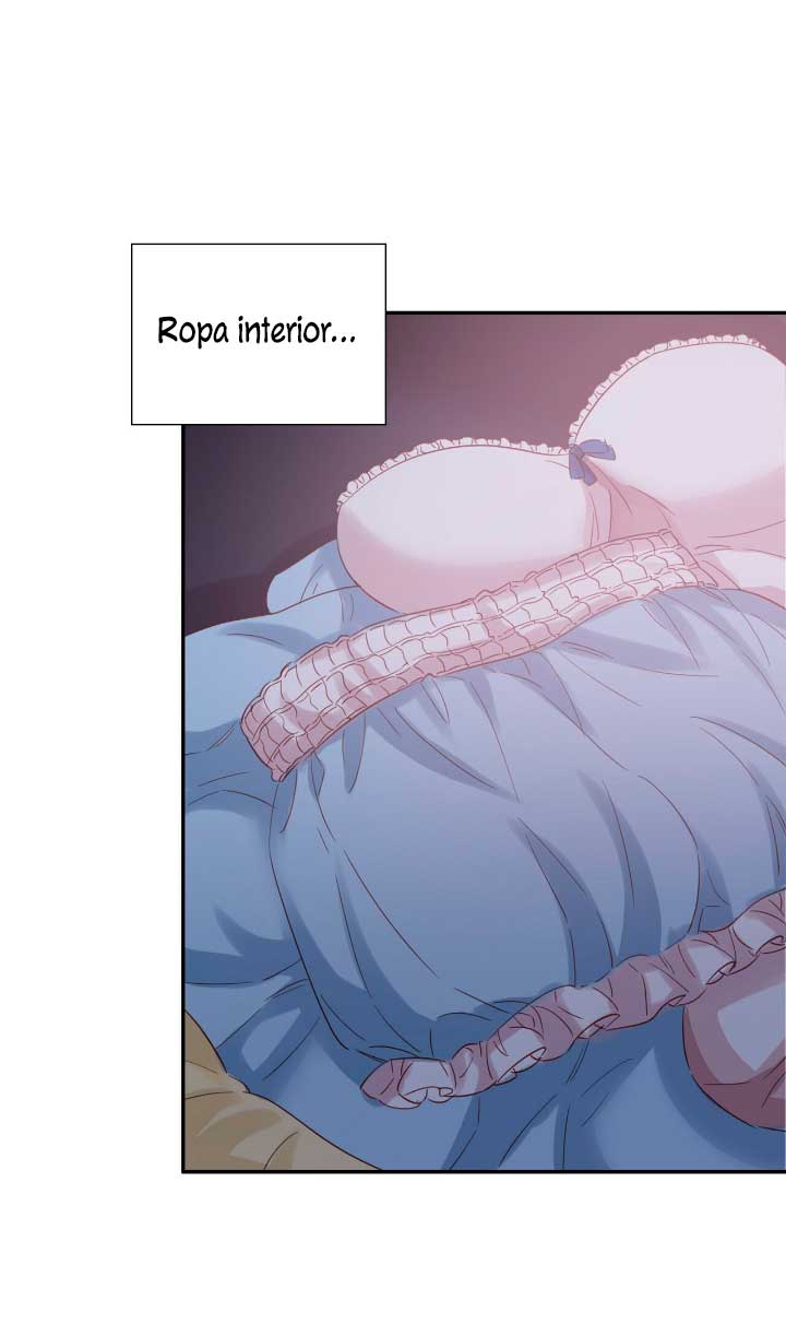 La noche de insomnio de la doncella Capítulo 14 - Página 15