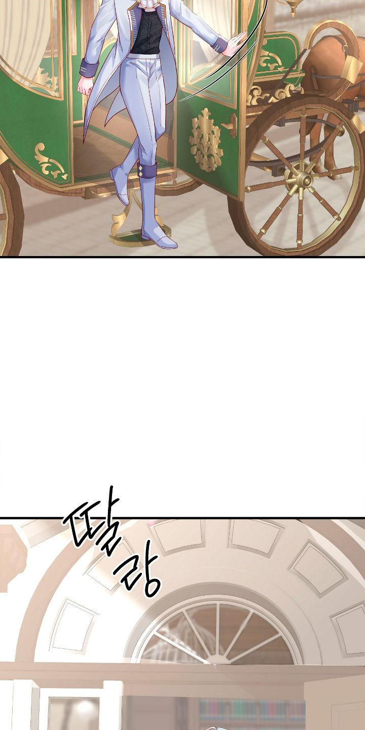 La noche de insomnio de la doncella Capítulo 25 - Página 49