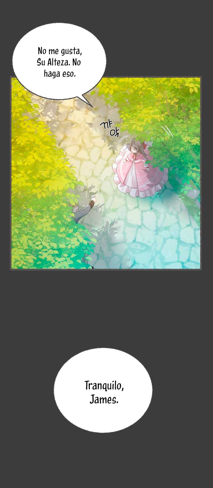 La noche de insomnio de la doncella Capítulo 35 - Página 35