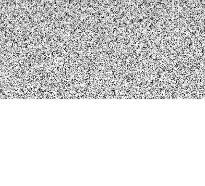 La noche de insomnio de la doncella Capítulo 59 - Página 41