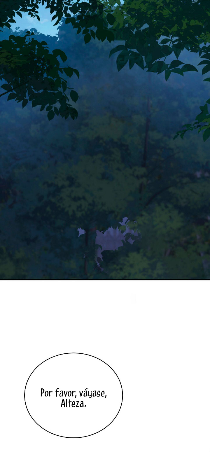 La noche de insomnio de la doncella Capítulo 6 - Página 25