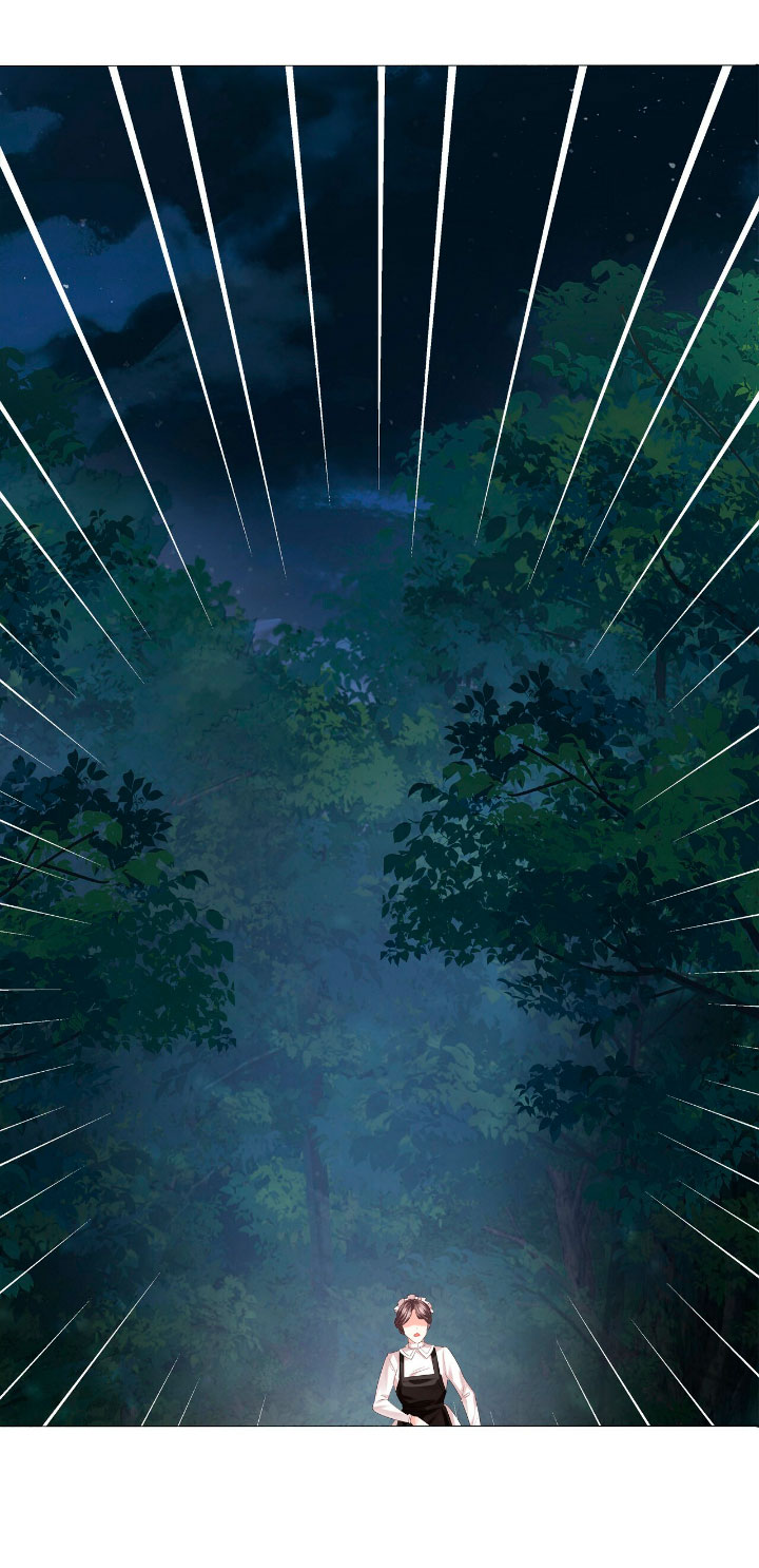 La noche de insomnio de la doncella Capítulo 6 - Página 36