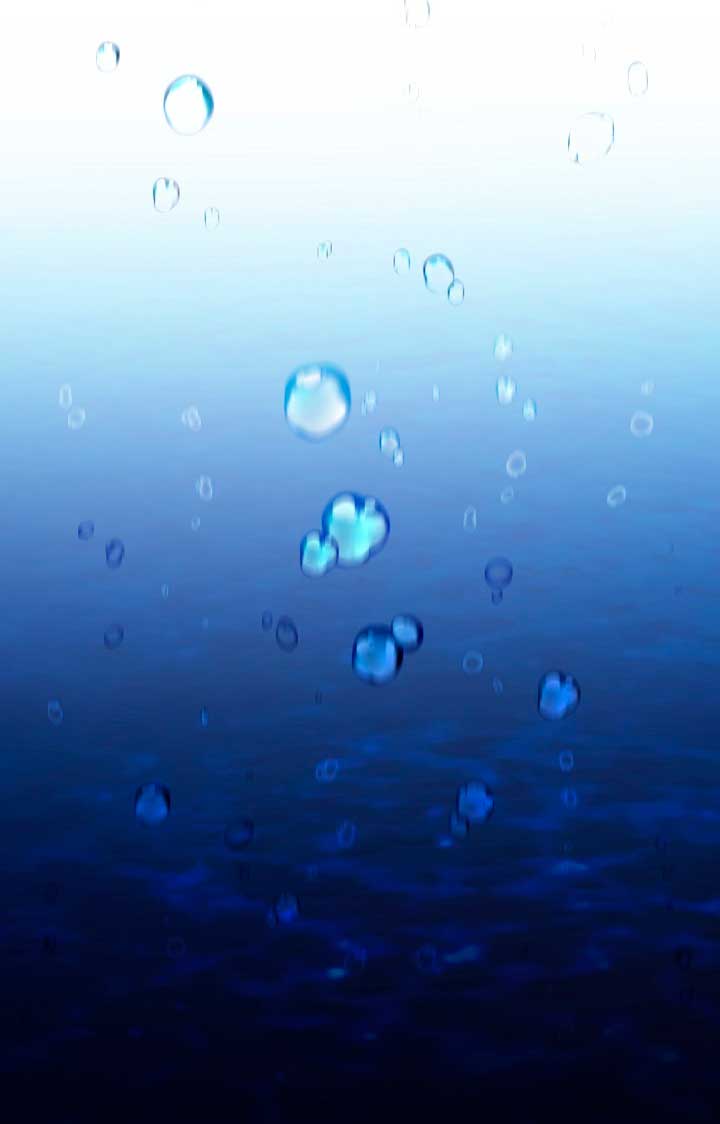 La princesa abandonada se rebelará Capítulo 42 - Página 8