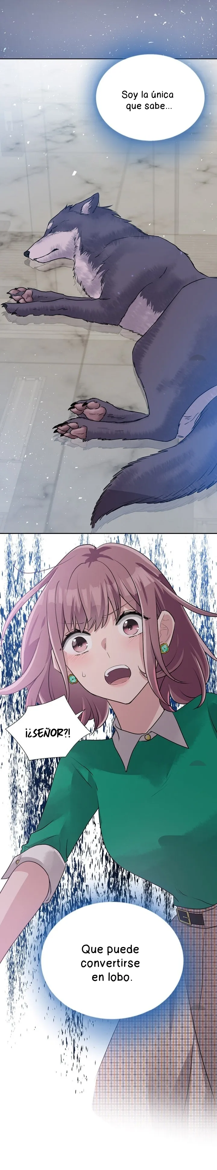 No le tengo miedo a los lobos Capítulo 10 - Página 33