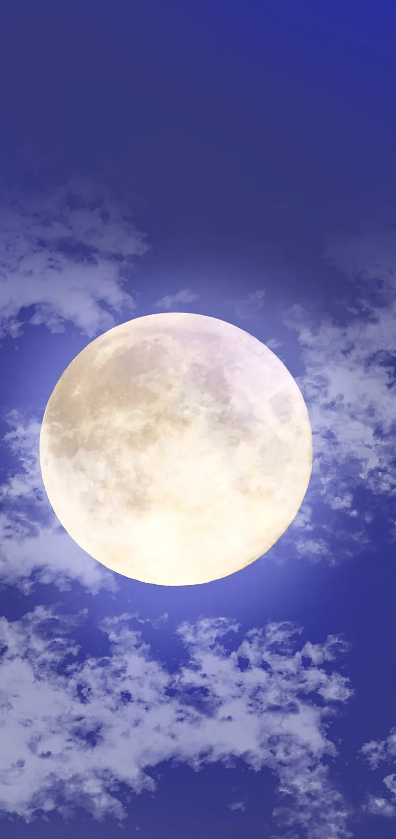 No le tengo miedo a los lobos Capítulo 11 - Página 3