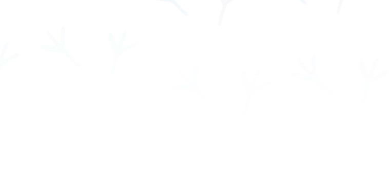 Me convertí en un cuervo Capítulo 21 - Página 35