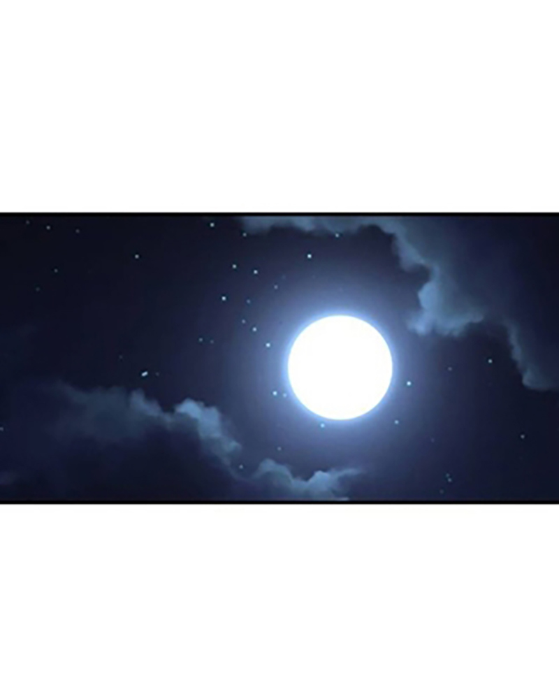 Villana pura Capítulo 24 - Página 163