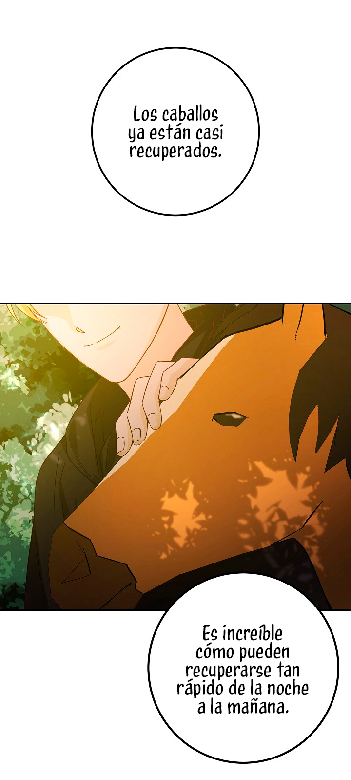 La esposa monstruosa del almirante Capítulo 10 - Página 49