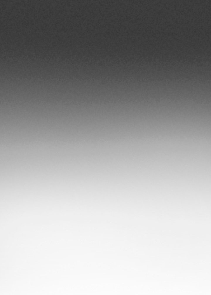 La esposa monstruosa del almirante Capítulo 46 - Página 12