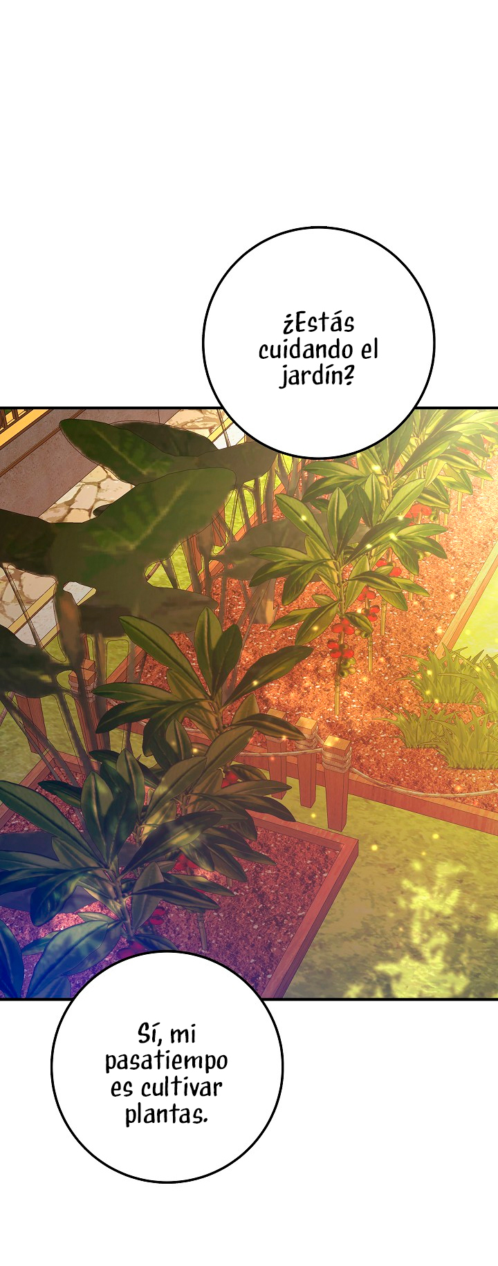 La esposa monstruosa del almirante Capítulo 8 - Página 11