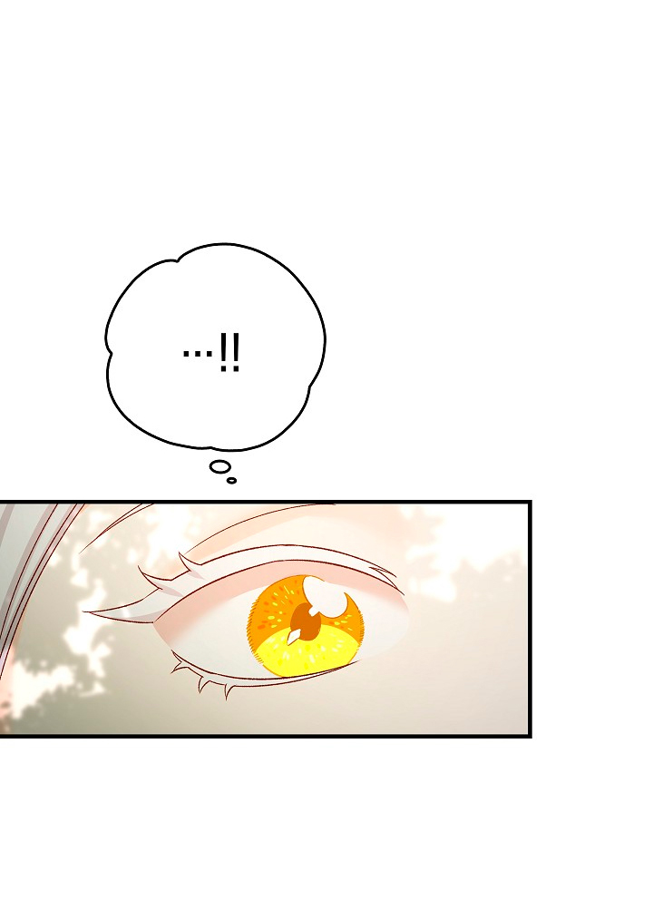 La esposa monstruosa del almirante Capítulo 8 - Página 12