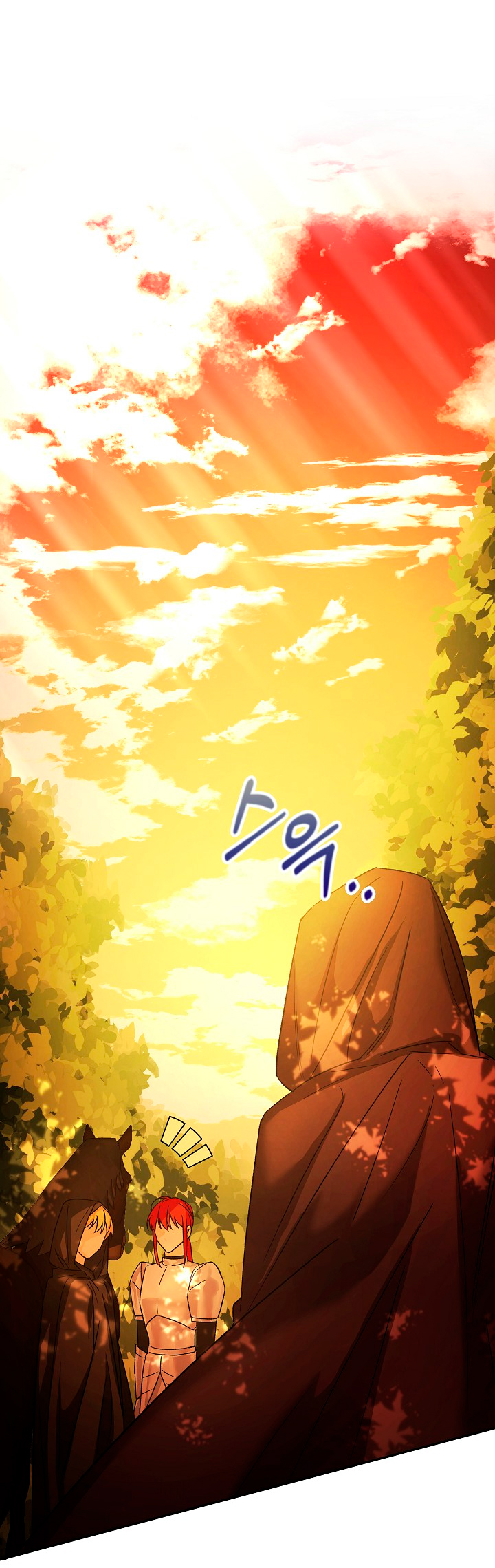 La esposa monstruosa del almirante Capítulo 9 - Página 10