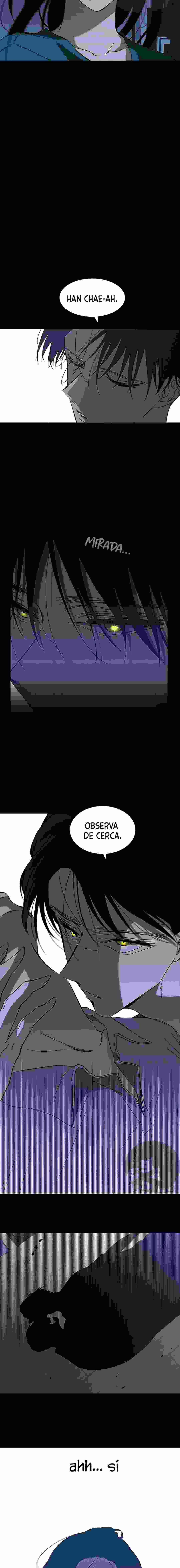 Olgami Capítulo 66 - Página 17