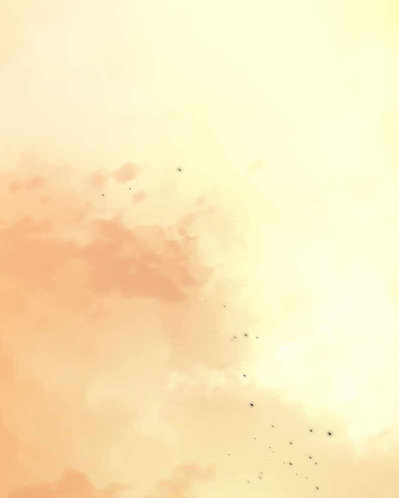 La segunda vida de una princesa basura Capítulo 1 - Página 3