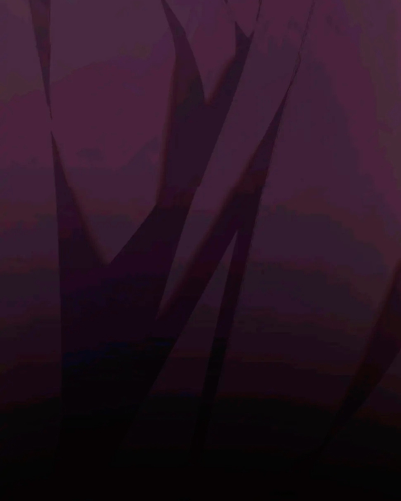 La segunda vida de una princesa basura Capítulo 22 - Página 43