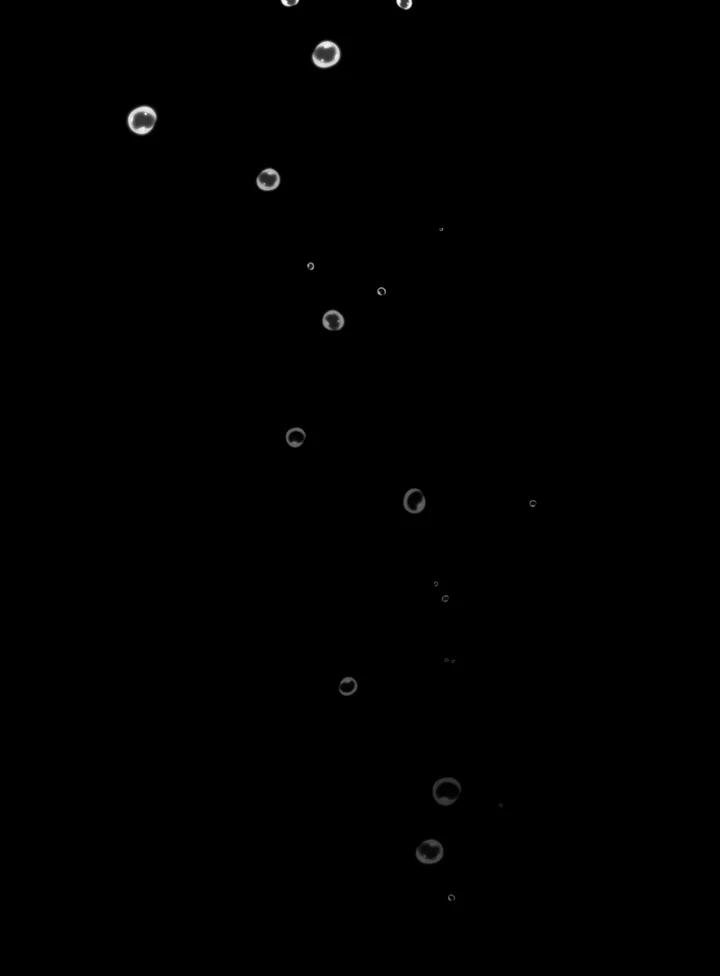 Smoking hypnosis Capítulo 21 - Página 4