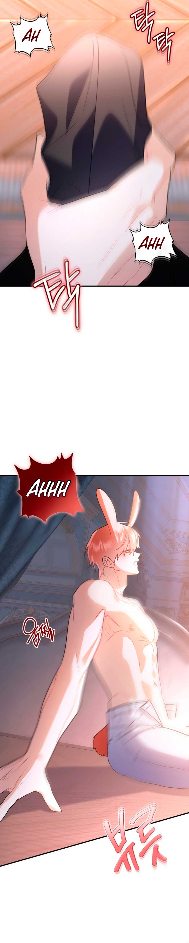 ¡No puedes conformarte con un esposo conejo! Capítulo 14 - Página 15