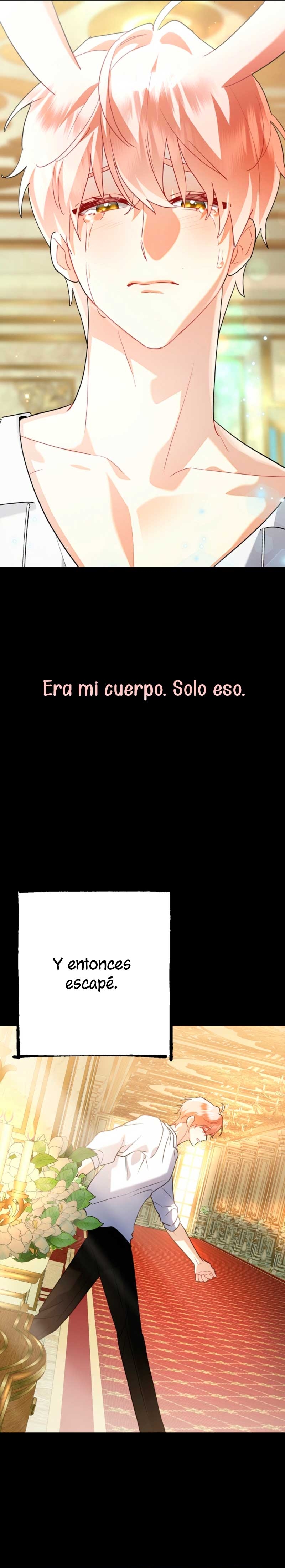 ¡No puedes conformarte con un esposo conejo! Capítulo 14 - Página 26
