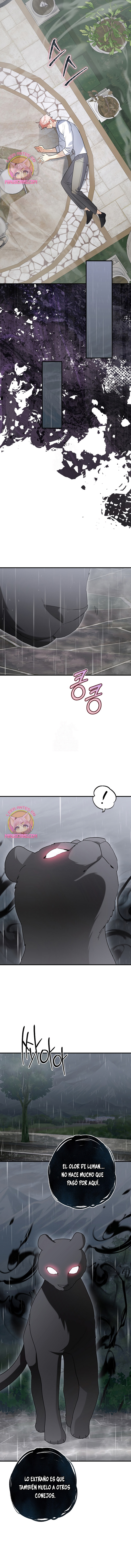 ¡No puedes conformarte con un esposo conejo! Capítulo 23 - Página 16