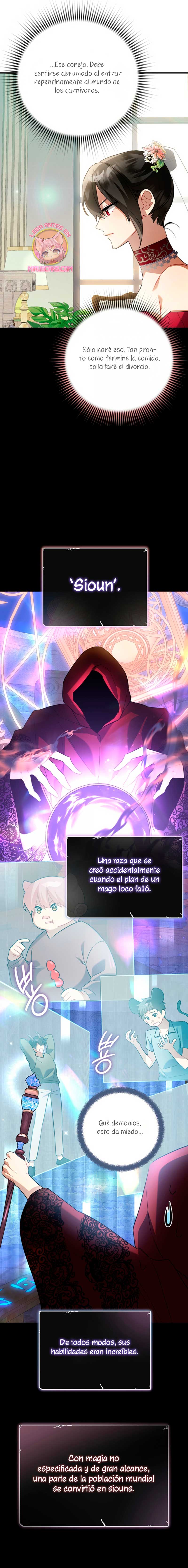 ¡No puedes conformarte con un esposo conejo! Capítulo 3 - Página 12