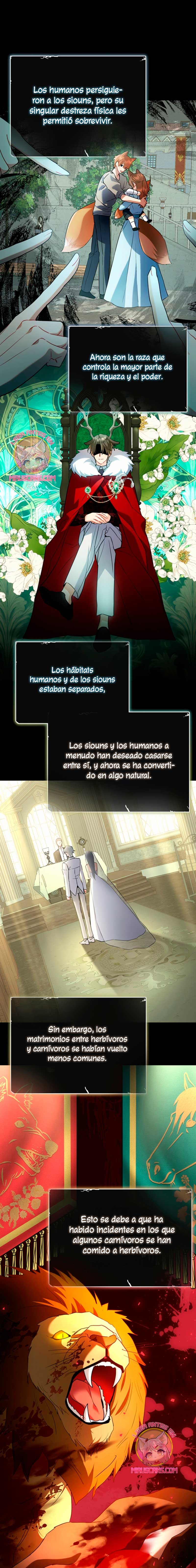 ¡No puedes conformarte con un esposo conejo! Capítulo 3 - Página 13