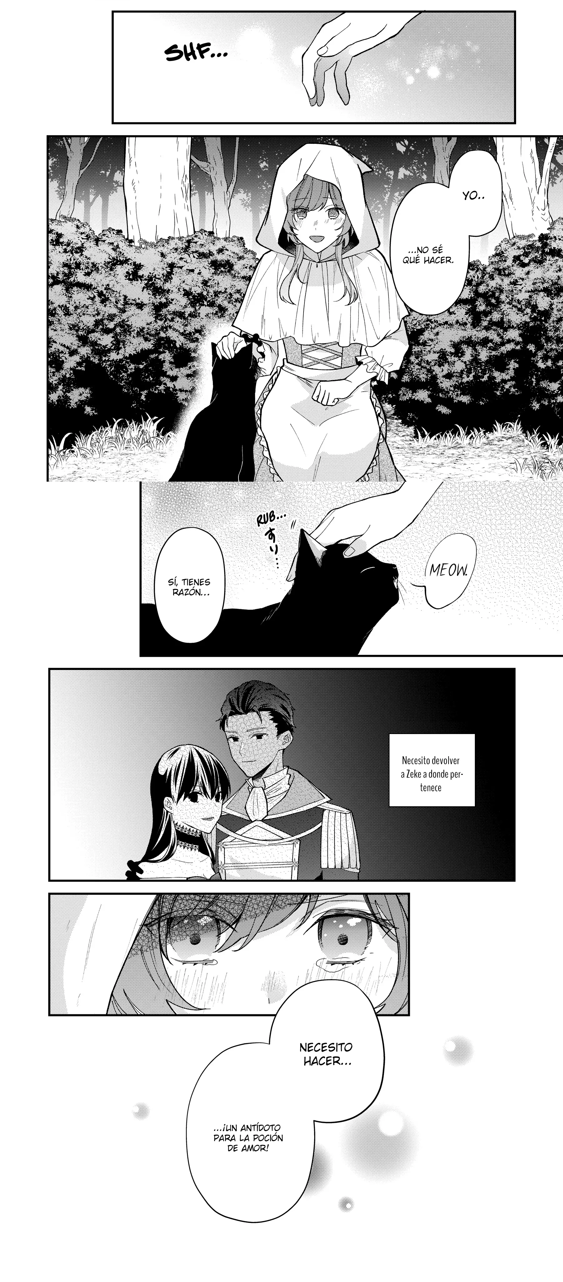 Encantamiento del corazón: La bruja, el caballero y un amor fuera de control Capítulo 7 - Página 9