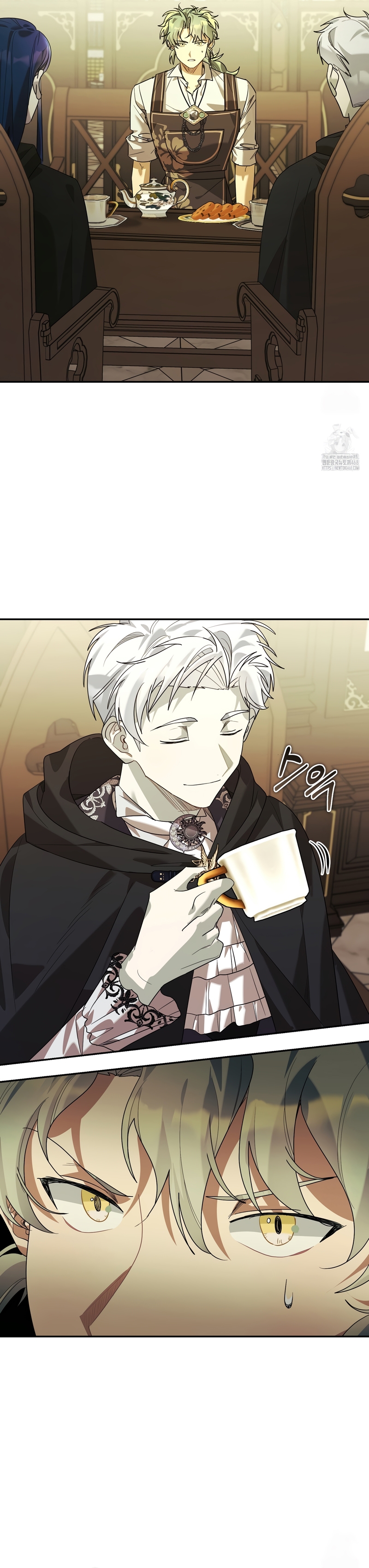 Viviendo como el hermano arruinado de un tirano Capítulo 28 - Página 9