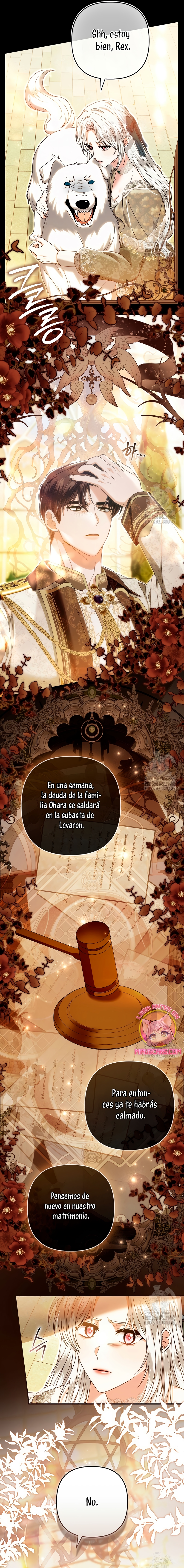 Como rechazar un matrimonio perfecto Capítulo 17 - Página 23